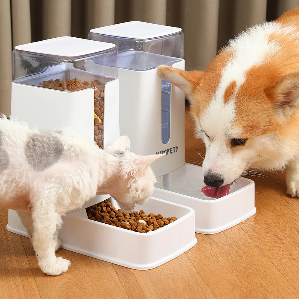 Automatic Pet Feeder – Dual Food & Water Dispenser